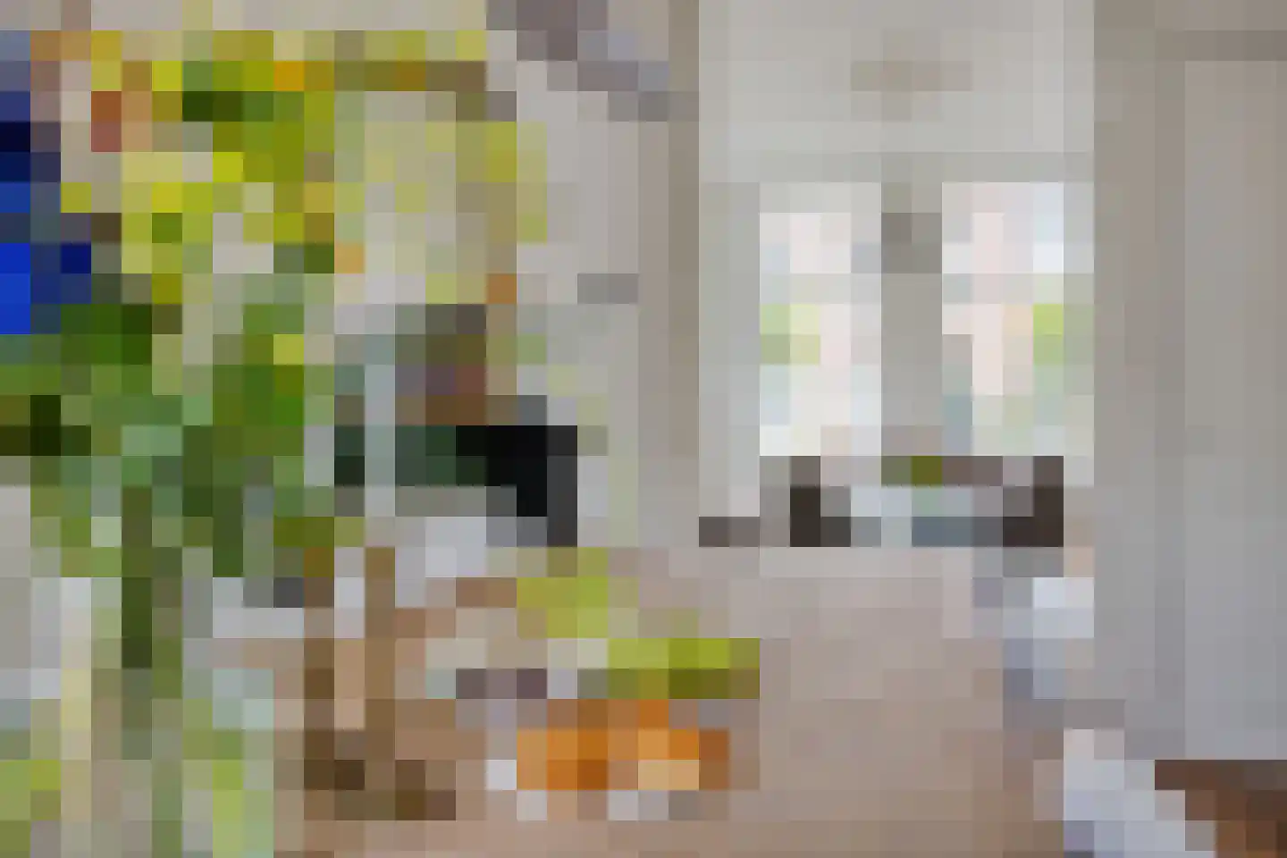 Nassaustraat 34 Utrecht thumbnail 4