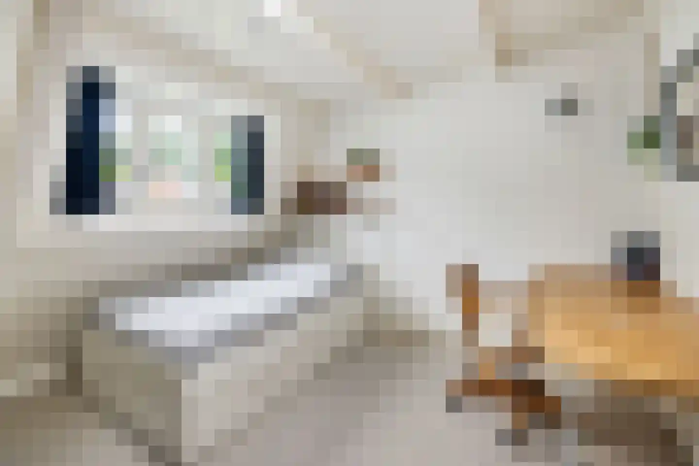 Nassaustraat 34 Utrecht thumbnail 43