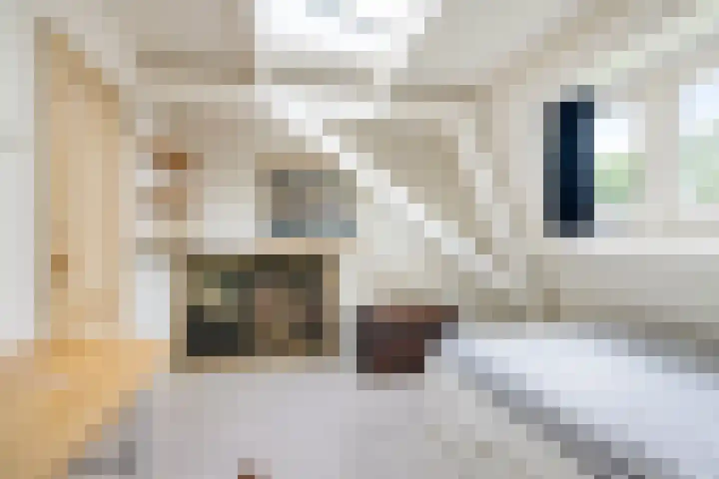 Nassaustraat 34 Utrecht thumbnail 44