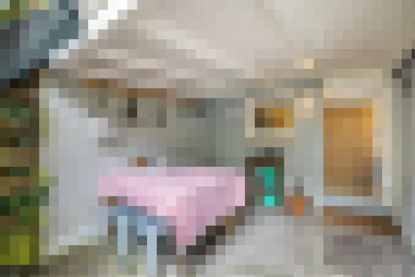 Nassaustraat 34 Utrecht thumbnail 54