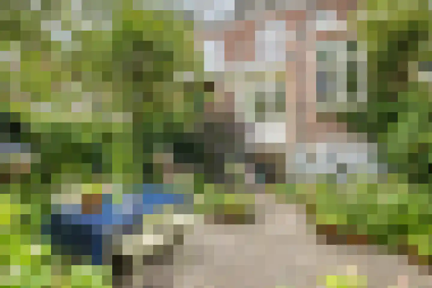 Nassaustraat 34 Utrecht thumbnail 59