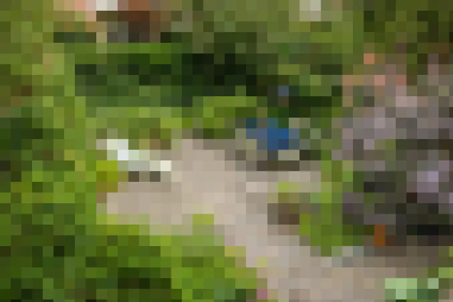 Nassaustraat 34 Utrecht thumbnail 62