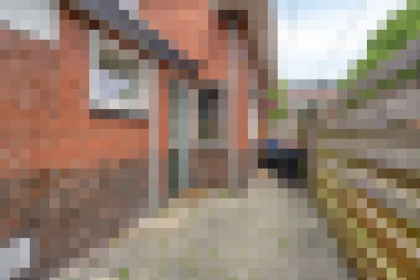 Nassaustraat 34 Winschoten thumbnail 34