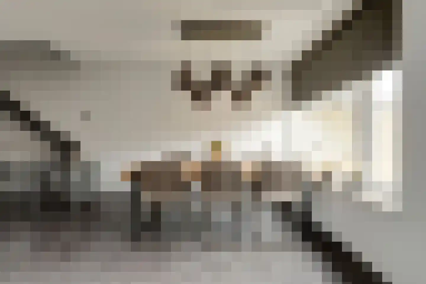 Nassaustraat 4 Geertruidenberg thumbnail 13