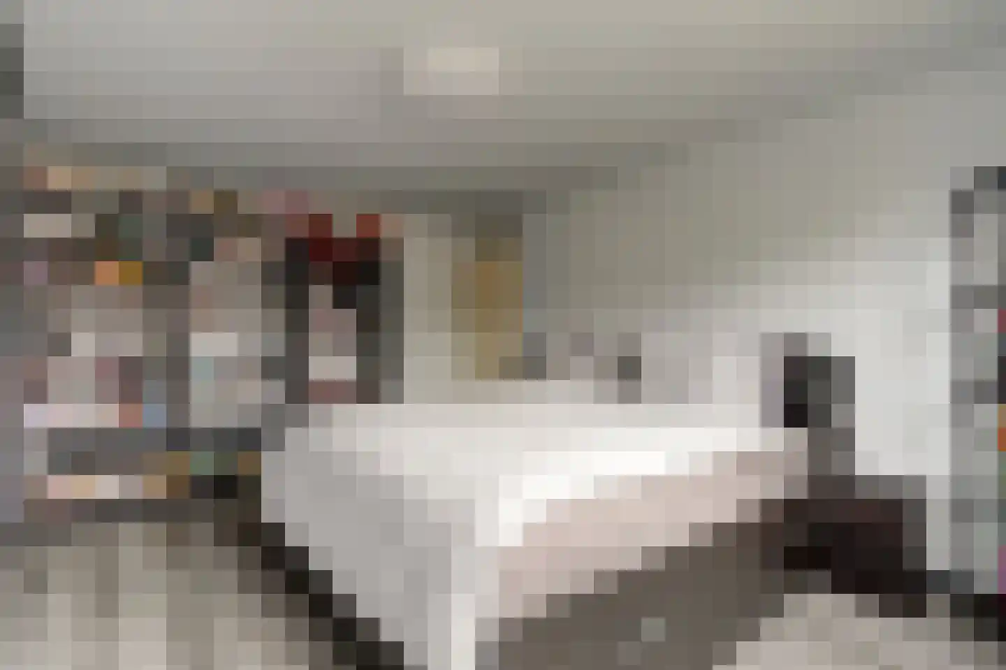 Nassaustraat 4 Geertruidenberg thumbnail 21