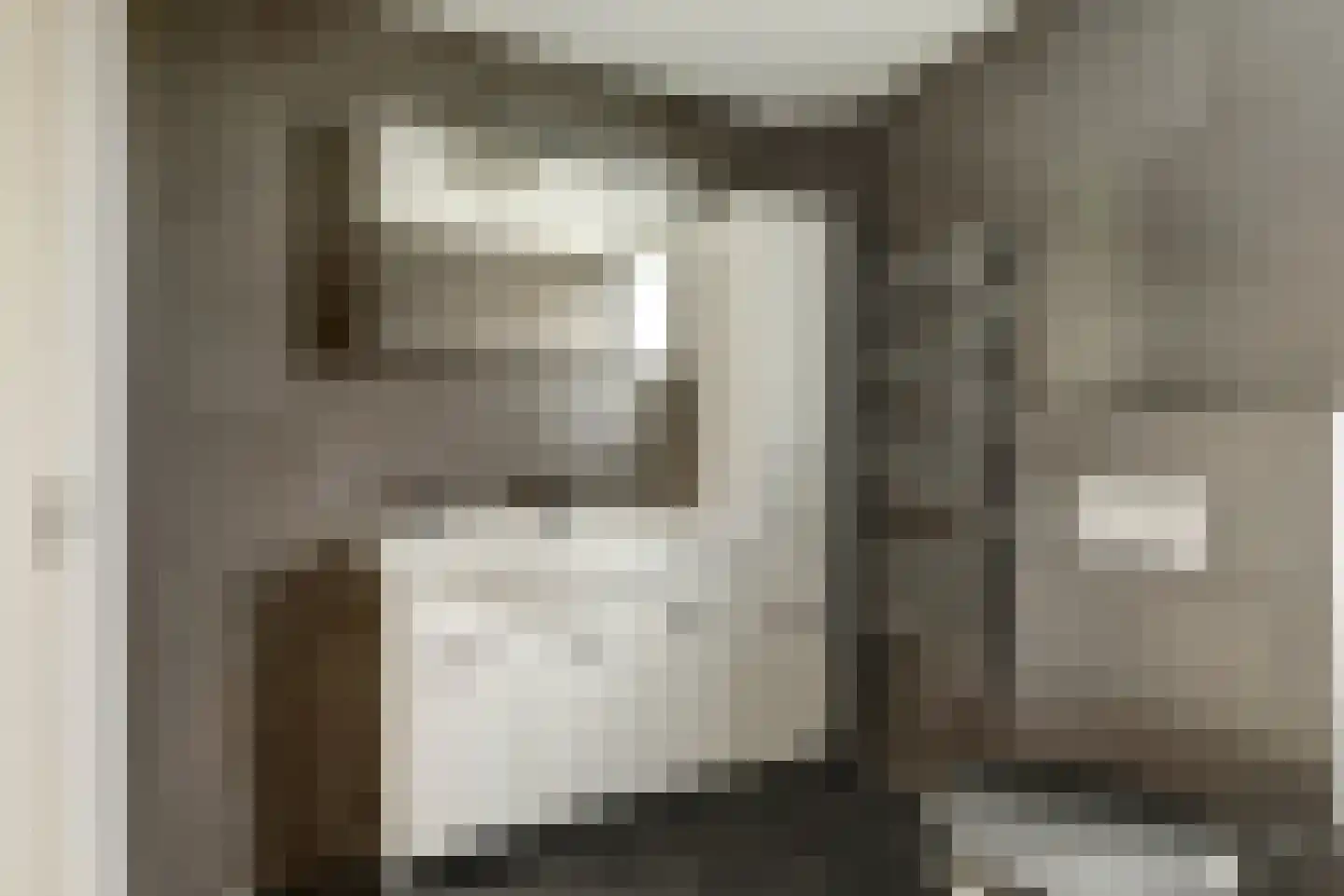 Nassaustraat 4 Geertruidenberg thumbnail 28