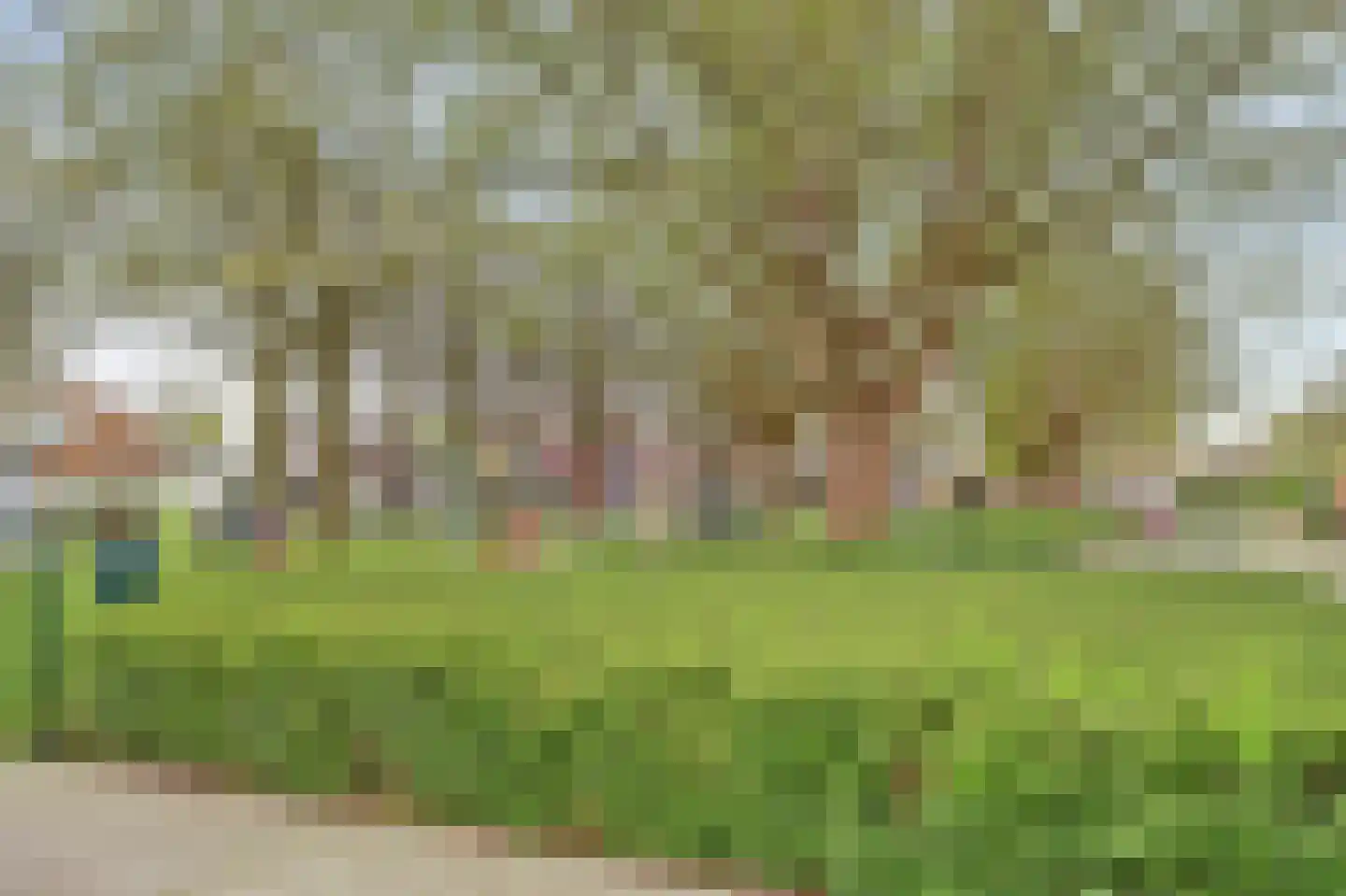 Nassaustraat 4 Geertruidenberg thumbnail 40