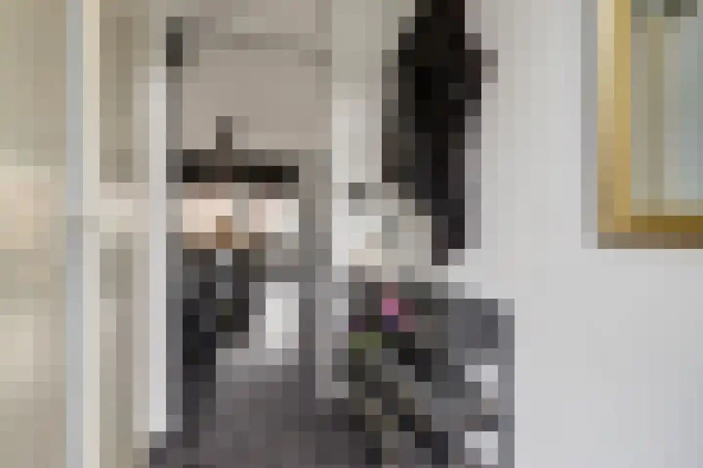 Nassaustraat 4 Geertruidenberg thumbnail 8