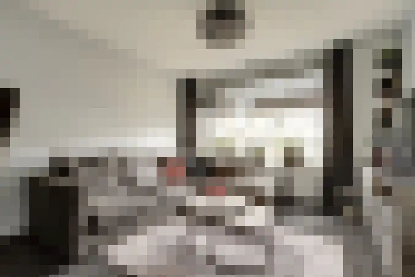 Nassaustraat 4 Geertruidenberg thumbnail 9