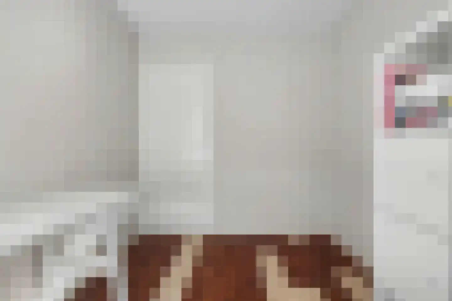 Nassaustraat 4 Strijen thumbnail 18
