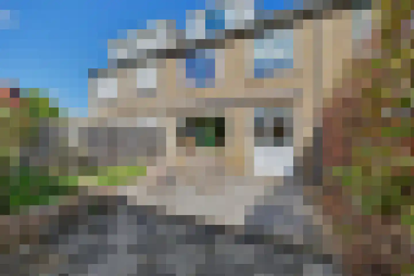 Nassaustraat 4 Strijen thumbnail 29
