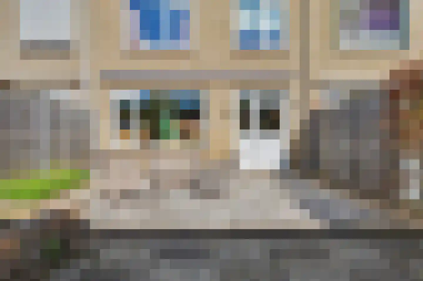 Nassaustraat 4 Strijen thumbnail 30
