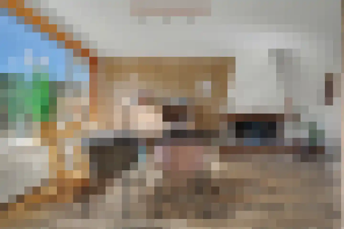 Nassaustraat 4 Strijen thumbnail 9