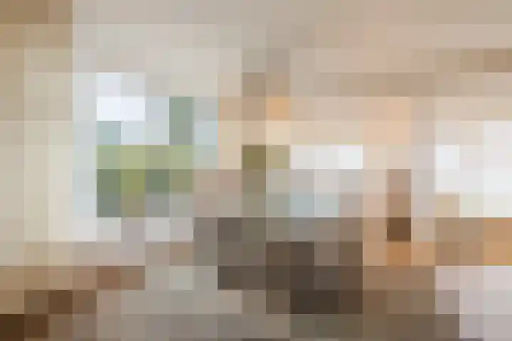 Nassaustraat 4 Vroomshoop thumbnail 14