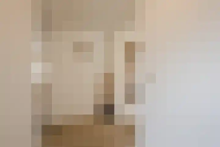 Nassaustraat 4 Vroomshoop thumbnail 27