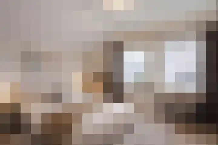 Nassaustraat 4 Vroomshoop thumbnail 36