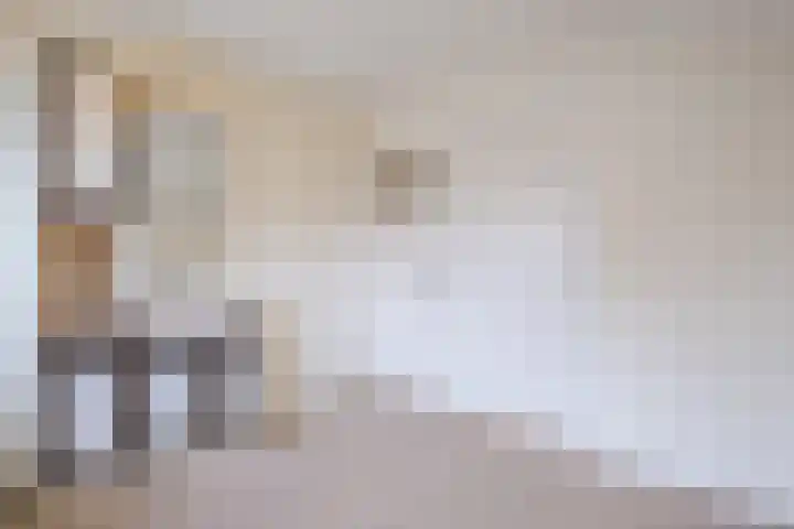 Nassaustraat 4 Vroomshoop thumbnail 38