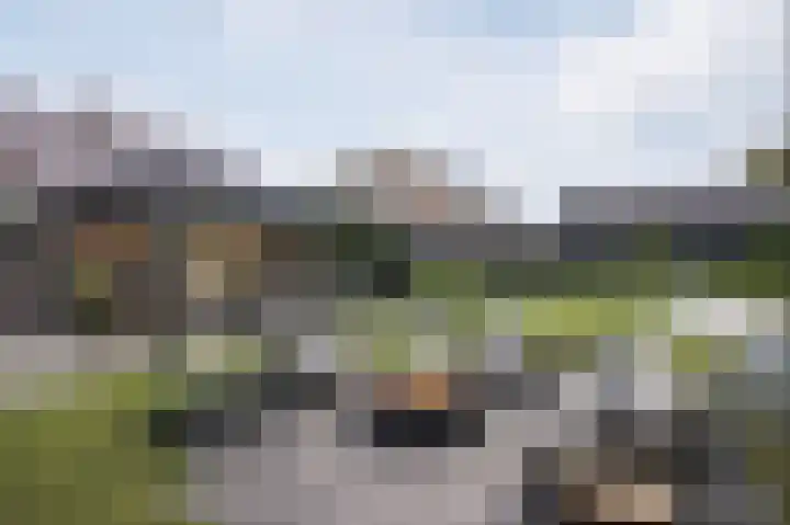 Nassaustraat 4 Vroomshoop thumbnail 51
