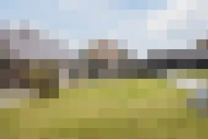 Nassaustraat 4 Vroomshoop thumbnail 52