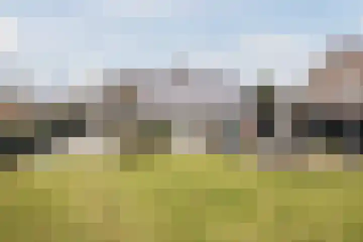 Nassaustraat 4 Vroomshoop thumbnail 54