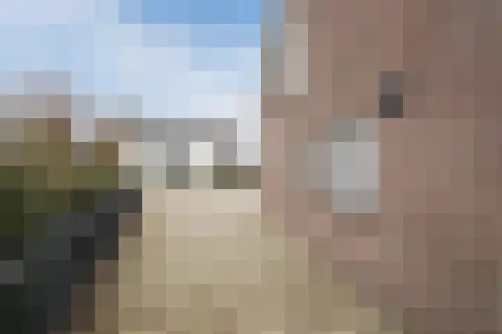Nassaustraat 4 Vroomshoop thumbnail 59