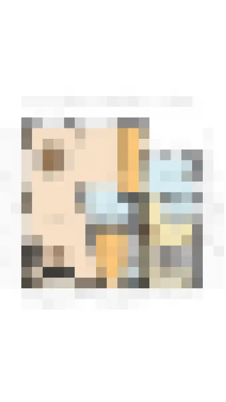 Nassaustraat 4 Vroomshoop thumbnail 64