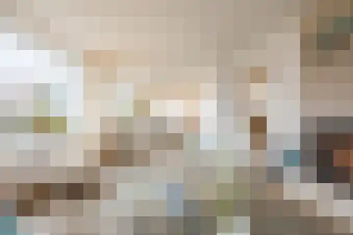 Nassaustraat 4 Vroomshoop thumbnail 9