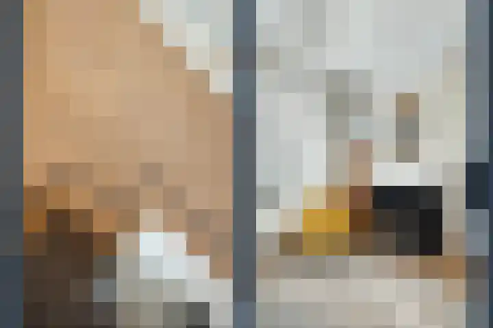 Nassaustraat 41 Utrecht thumbnail 10