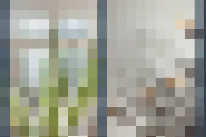 Nassaustraat 41 Utrecht thumbnail 15
