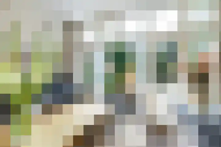 Nassaustraat 41 Utrecht thumbnail 22