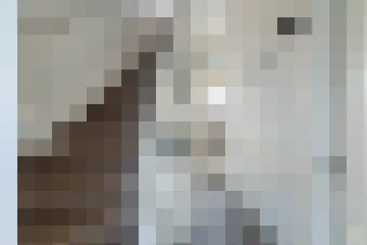 Nassaustraat 41 Utrecht thumbnail 7
