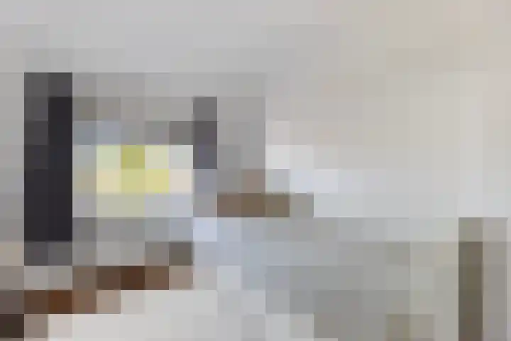 Nassaustraat 44 Rijssen thumbnail 22