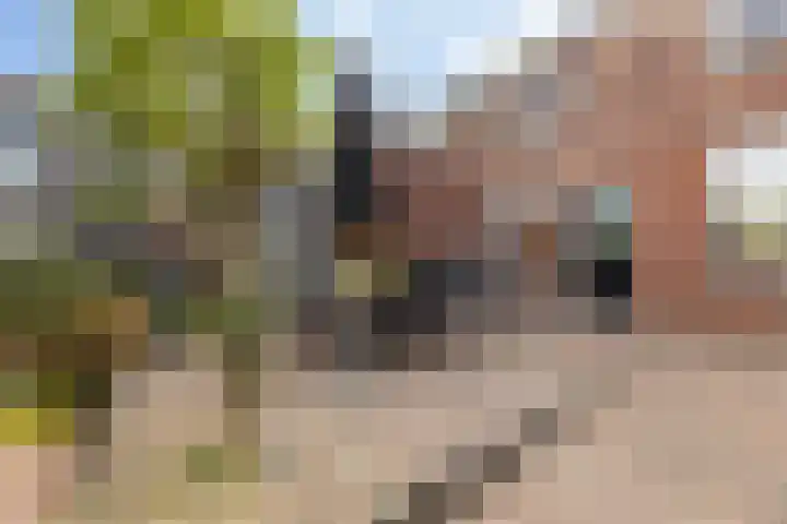 Nassaustraat 44 Rijssen thumbnail 33