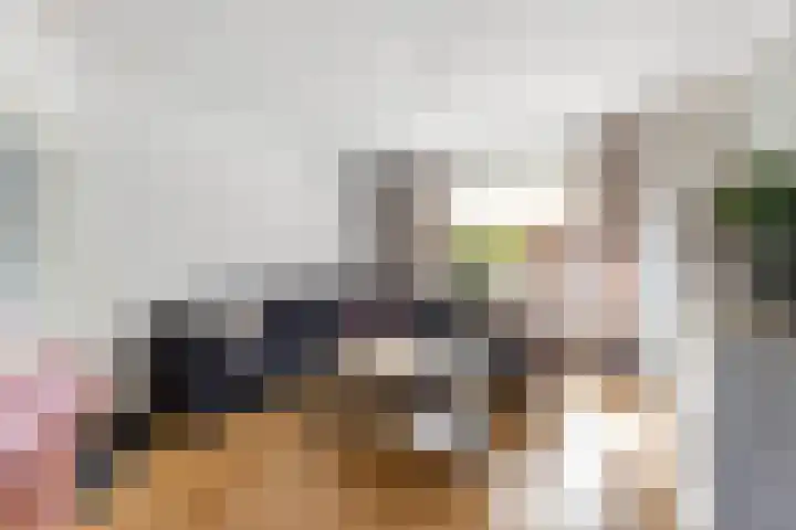 Nassaustraat 44 Rijssen thumbnail 4