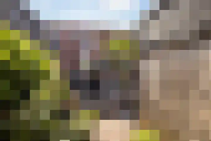Nassaustraat 44 Rijssen thumbnail 41