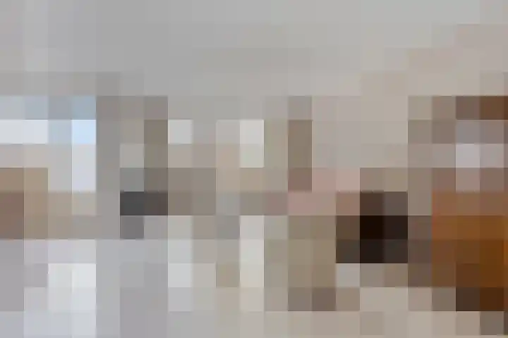 Nassaustraat 45 Maarssen thumbnail 21