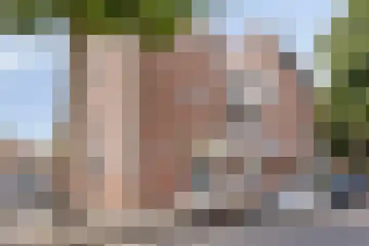 Nassaustraat 45 Maarssen thumbnail 4