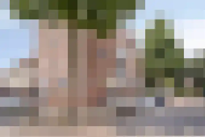 Nassaustraat 45 Maarssen thumbnail 61