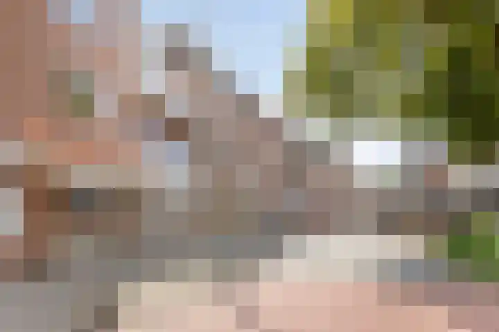 Nassaustraat 45 Maarssen thumbnail 64