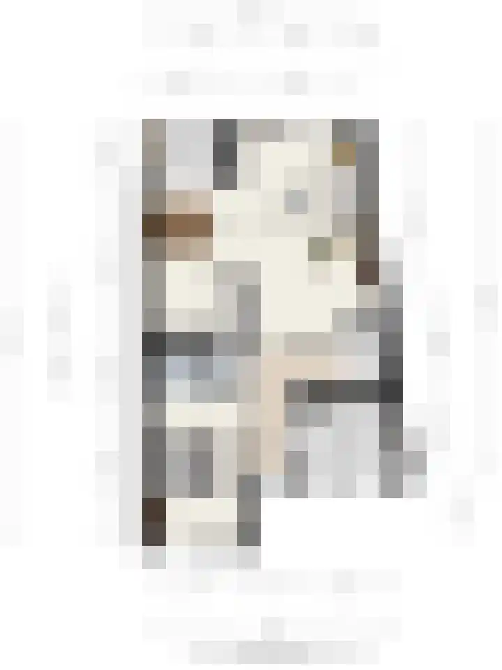 Nassaustraat 45 Maarssen thumbnail 73