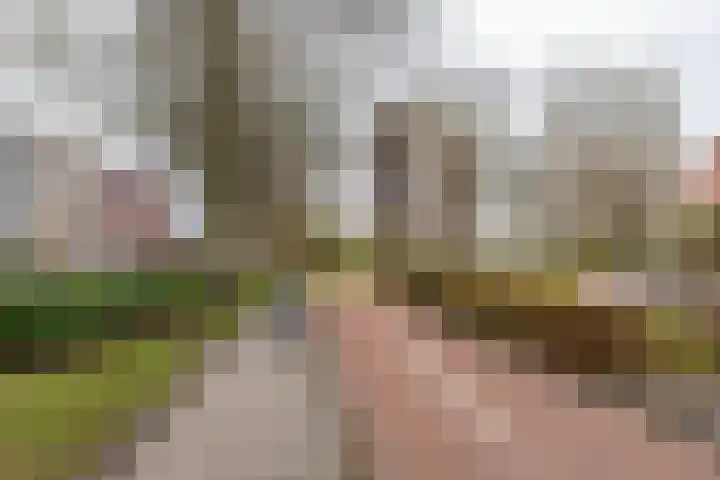 Nassaustraat 5 b Groningen thumbnail 31