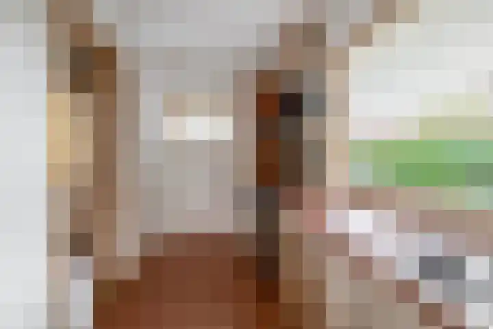 Nassaustraat 5 Boskoop thumbnail 13