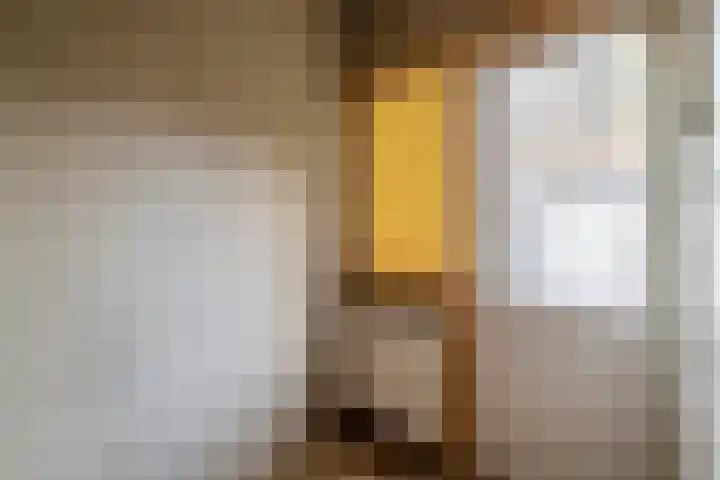 Nassaustraat 5 Boskoop thumbnail 19