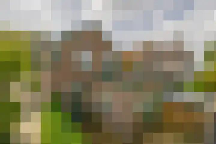 Nassaustraat 5 Boskoop thumbnail 20