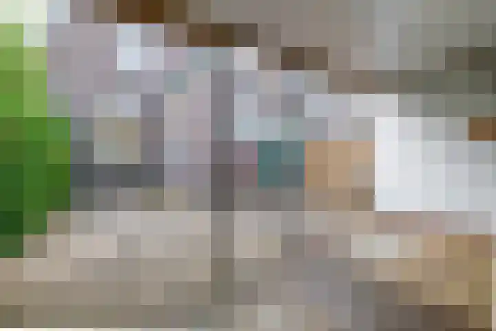 Nassaustraat 5 Boskoop thumbnail 21