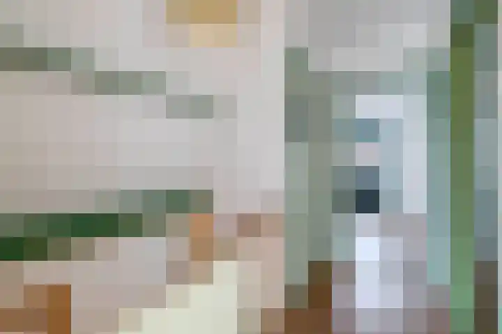 Nassaustraat 5 Boskoop thumbnail 23