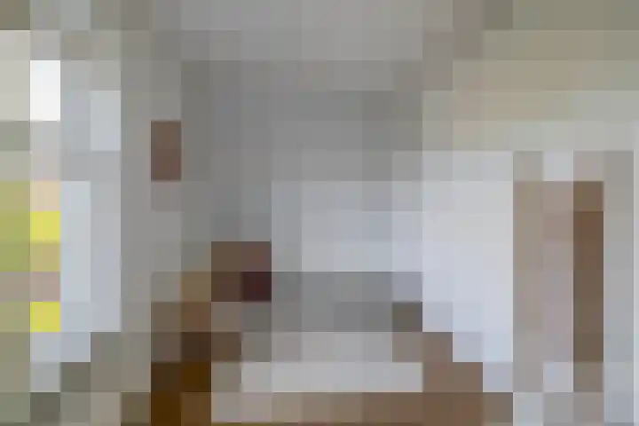 Nassaustraat 5 Boskoop thumbnail 25