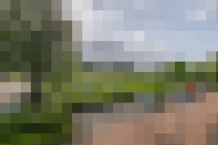 Nassaustraat 5 Boskoop thumbnail 30