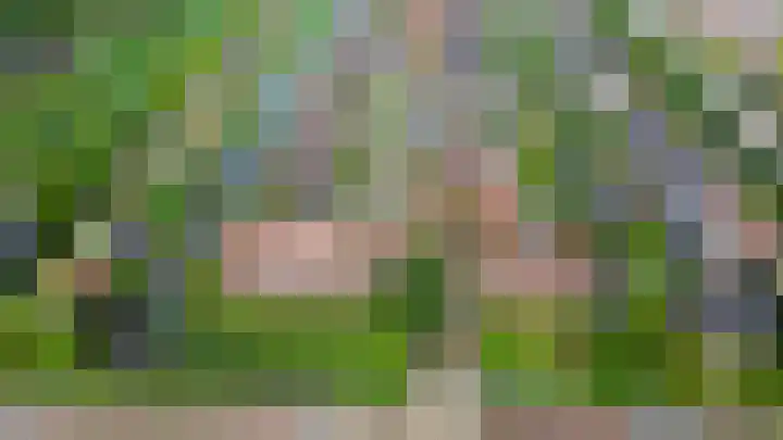 Nassaustraat 5 Boskoop thumbnail 34