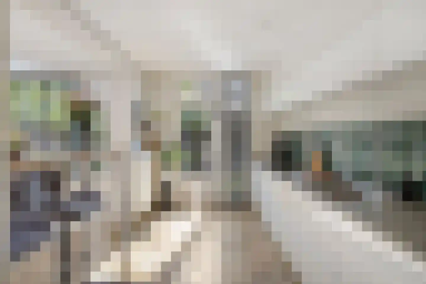Nassaustraat 5 Waalre thumbnail 13